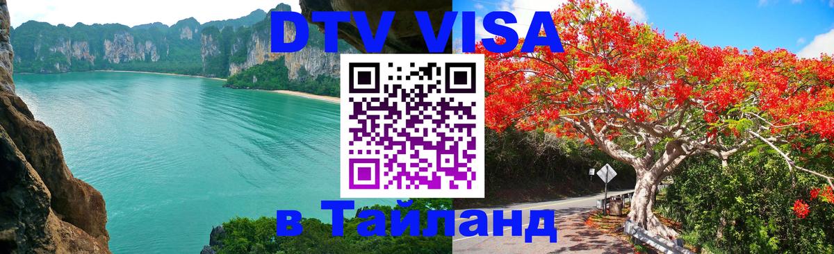 Оформление DTV визы под ключ: стоимость и тарифы, только загранпаспорт - 